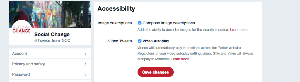 Screenshot of Twitter Accessibility settings