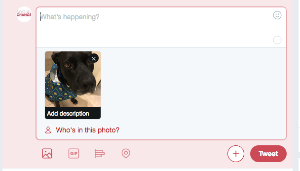 Screenshot of a tweet with a photo in it